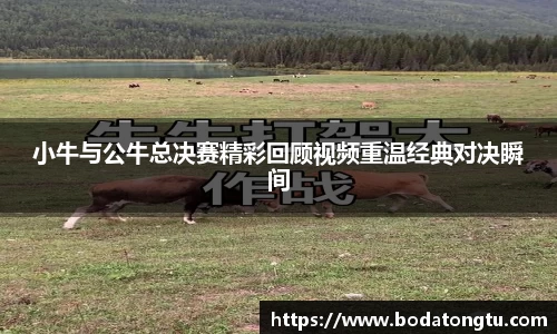 小牛与公牛总决赛精彩回顾视频重温经典对决瞬间